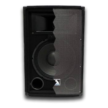 Amazon.com: Seismic Audio - Pair of 12